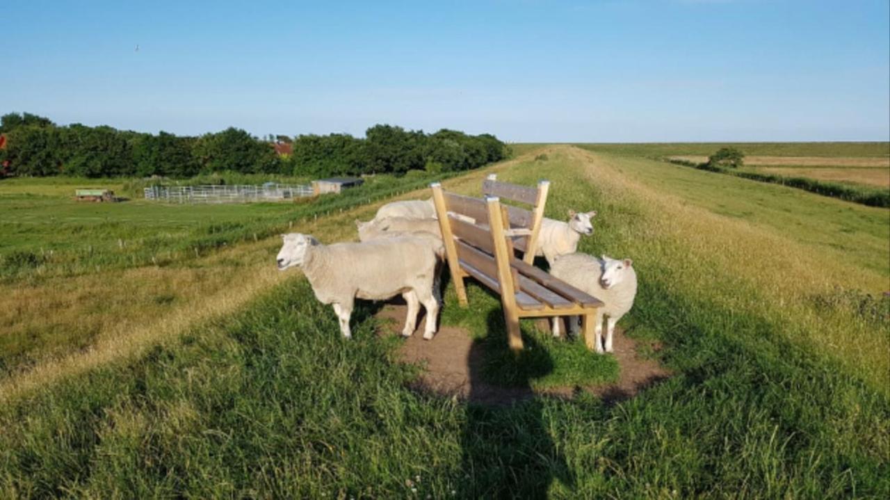 Apartamento Deichgraf - Hedwig Meine Perle Hedwigenkoog Exterior foto